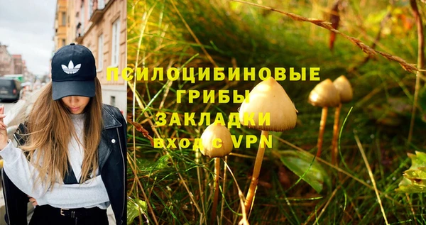 винт Абинск