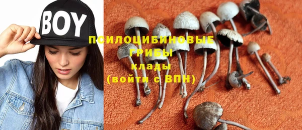 винт Абинск