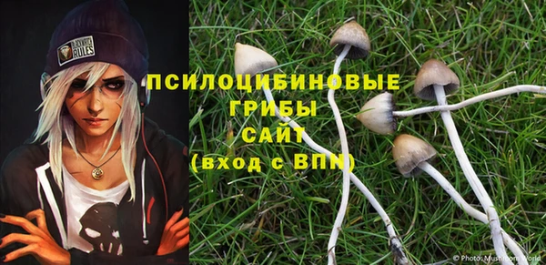 винт Абинск
