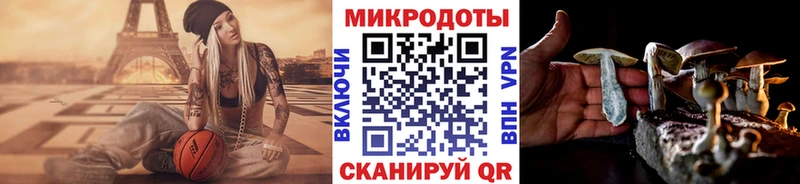 Псилоцибиновые грибы прущие грибы  как найти закладки  Хасавюрт 